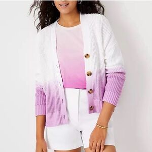 New Ann Taylor Dip Dye Ombré Sweater